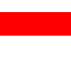 ทีมชาติอินโดนีเซีย
